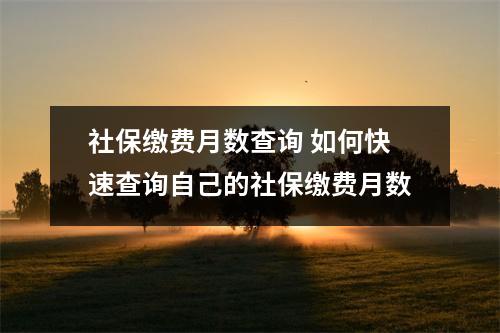 社保缴费月数查询 如何快速查询自己的社保缴费月数