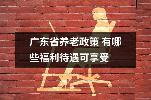 广东省养老政策 有哪些福利待遇可享受 