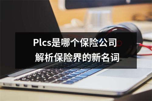 Plcs是哪个保险公司 解析保险界的新名词
