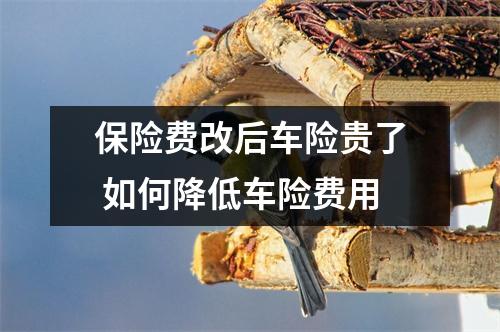 保险费改后车险贵了 如何降低车险费用