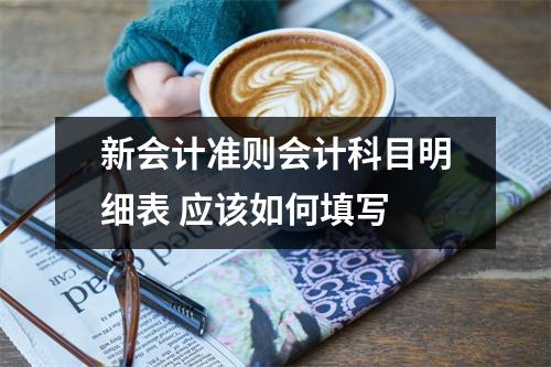 新会计准则会计科目明细表 应该如何填写 