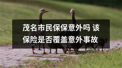 茂名市民保保意外吗 该保险是否覆盖意外事故