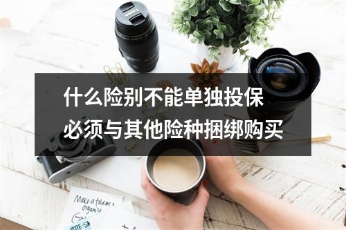 什么险别不能单独投保 必须与其他险种捆绑购买