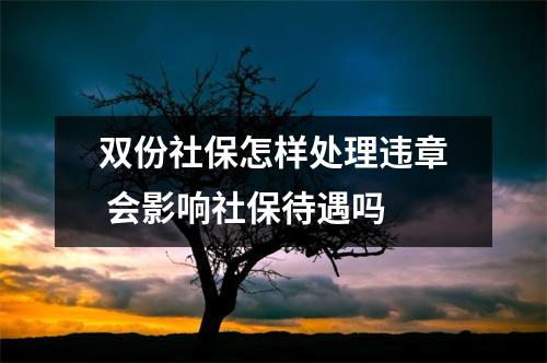 双份社保怎样处理违章 会影响社保待遇吗