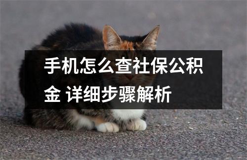 手机怎么查社保公积金 详细步骤解析
