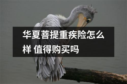 华夏菩提重疾险怎么样 值得购买吗 