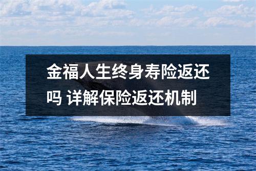 金福人生终身寿险返还吗 详解保险返还机制
