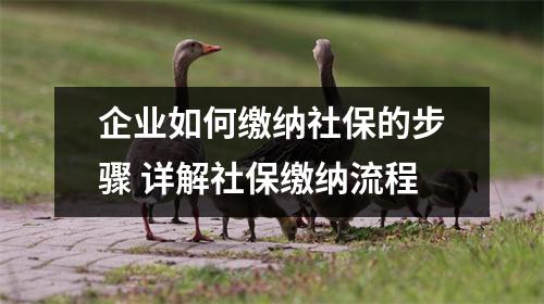 企业如何缴纳社保的步骤 详解社保缴纳流程