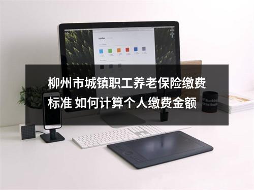 柳州市城镇职工养老保险缴费标准 如何计算个人缴费金额