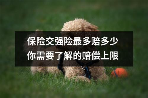 保险交强险最多赔多少 你需要了解的赔偿上限