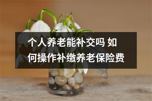 个人养老能补交吗 如何操作补缴养老保险费