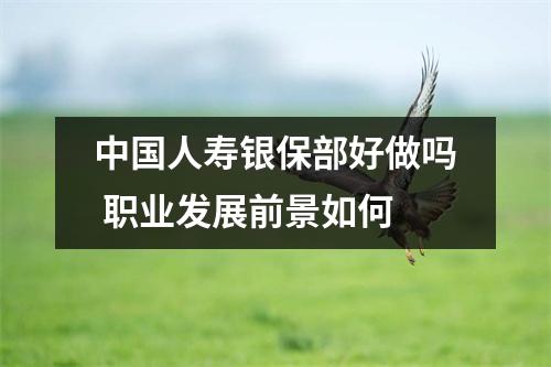 中国人寿银保部好做吗 职业发展前景如何