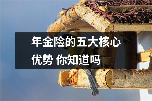 年金险的五大核心优势 你知道吗