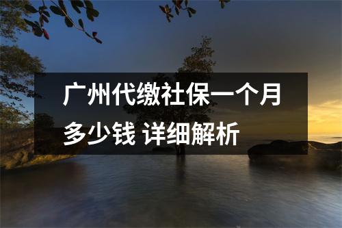 广州代缴社保一个月多少钱 详细解析