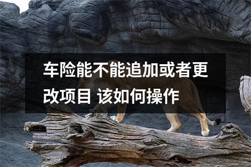 车险能不能追加或者更改项目 该如何操作