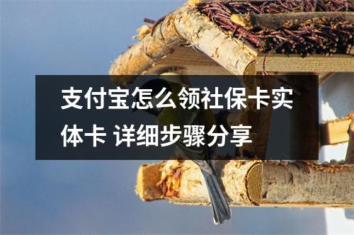 支付宝怎么领社保卡实体卡 详细步骤分享