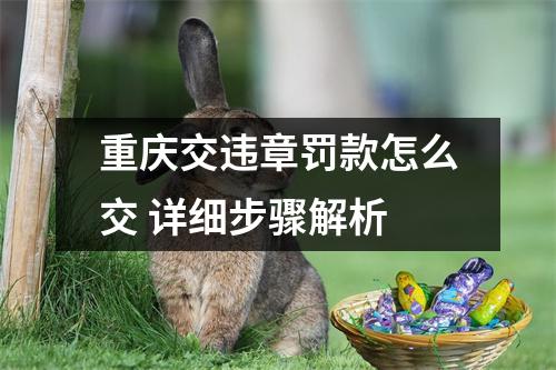 重庆交违章罚款怎么交 详细步骤解析