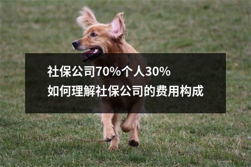 社保公司70%个人30% 如何理解社保公司的费用构成