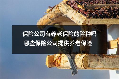 保险公司有养老保险的险种吗 哪些保险公司提供养老保险