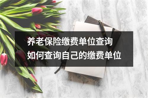 养老保险缴费单位查询 如何查询自己的缴费单位