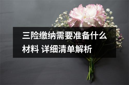 三险缴纳需要准备什么材料 详细清单解析