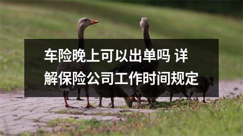 车险晚上可以出单吗 详解保险公司工作时间规定