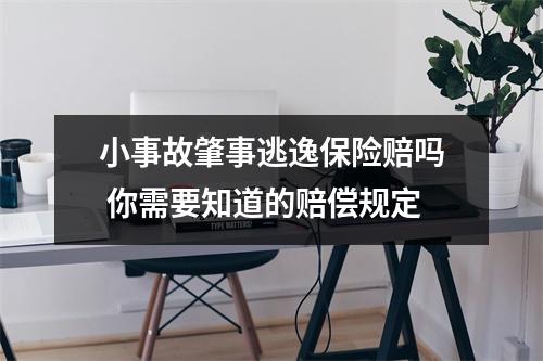 小事故肇事逃逸保险赔吗 你需要知道的赔偿规定