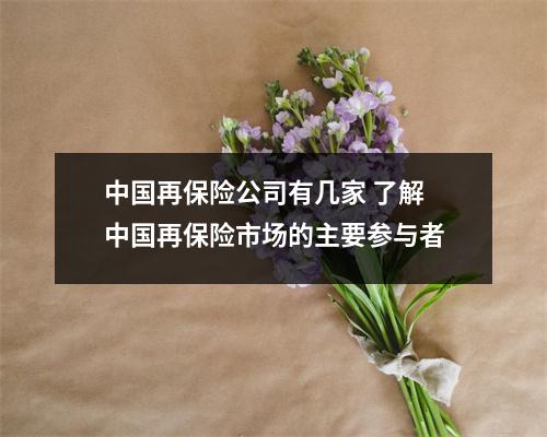 中国再保险公司有几家 了解中国再保险市场的主要参与者