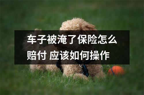 车子被淹了保险怎么赔付 应该如何操作