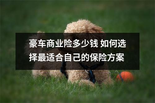 豪车商业险多少钱 如何选择最适合自己的保险方案