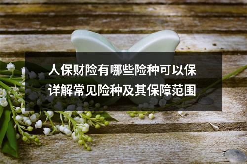 人保财险有哪些险种可以保 详解常见险种及其保障范围