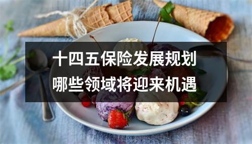 十四五保险发展规划 哪些领域将迎来机遇 