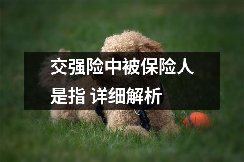 交强险中被保险人是指 详细解析