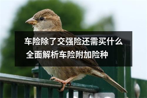 车险除了交强险还需买什么 全面解析车险附加险种