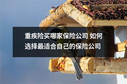 重疾险买哪家保险公司 如何选择最适合自己的保险公司