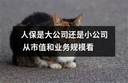 人保是大公司还是小公司 从市值和业务规模看