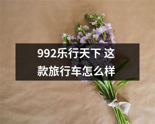 992乐行天下 这款旅行车怎么样