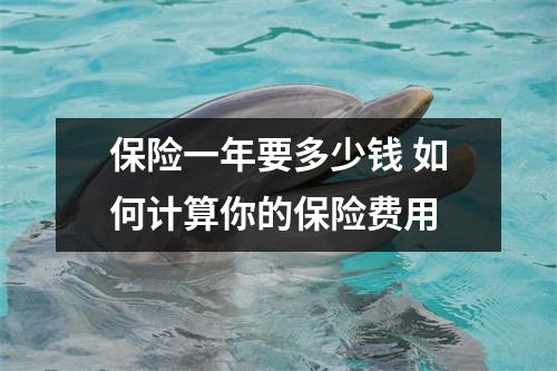 保险一年要多少钱 如何计算你的保险费用