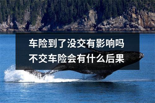 车险到了没交有影响吗 不交车险会有什么后果
