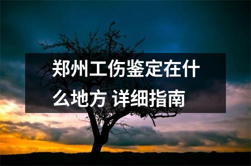 郑州工伤鉴定在什么地方 详细指南