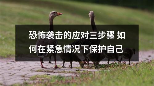恐怖袭击的应对三步骤 如何在紧急情况下保护自己