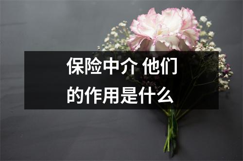 保险中介 他们的作用是什么