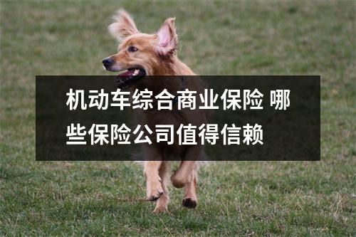 机动车综合商业保险 哪些保险公司值得信赖 