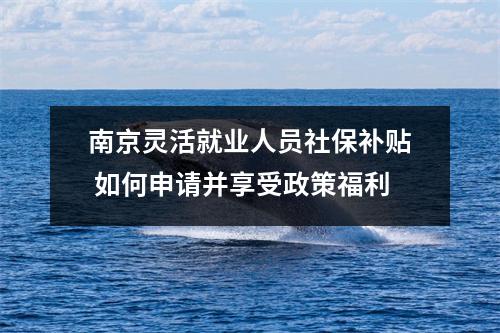 南京灵活就业人员社保补贴 如何申请并享受政策福利