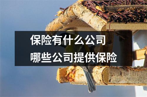 保险有什么公司 哪些公司提供保险