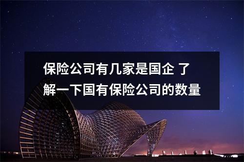 保险公司有几家是国企 了解一下国有保险公司的数量