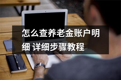 怎么查养老金账户明细 详细步骤教程