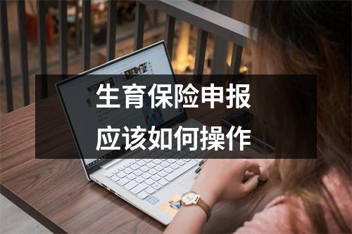 生育保险申报 应该如何操作
