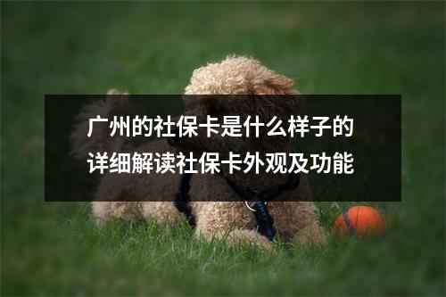 广州的社保卡是什么样子的 详细解读社保卡外观及功能