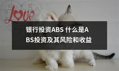 银行投资ABS 什么是ABS投资及其风险和收益 